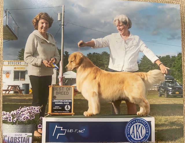 Akc Agility Nationals Border Collie 2019 Akc Agility Nationals - Main Image