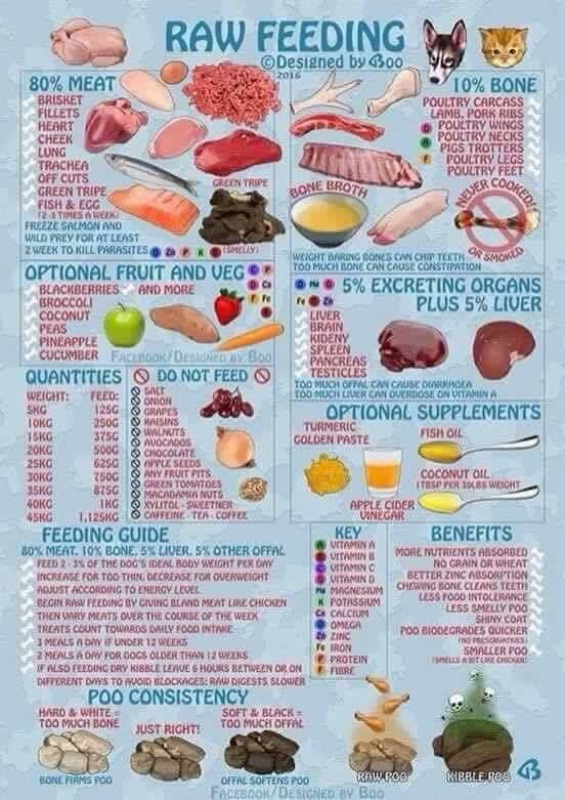 Dangerous Foods For Dogs Chart